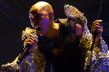 [ skunk anansie ]