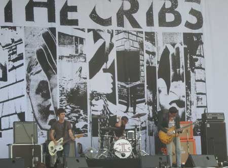 [ the cribs ]