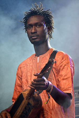 [ Bassekou Koyate and Ngoni Ba ]