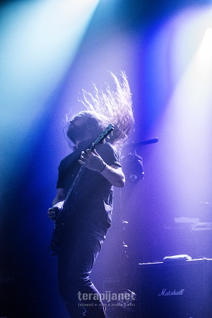 [ alcest ]