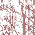 cover: Passage To Indica