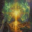 cover: Into Abaddon