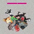 cover: Distorted Mind