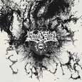 cover: Chaos Echoes