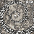 cover: Spiral Shadow