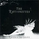 cover: Raven in the Grave