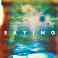cover: Skying