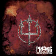 cover: Carved Into Stone