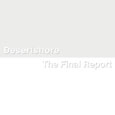 cover: Desertshore / The Final Report