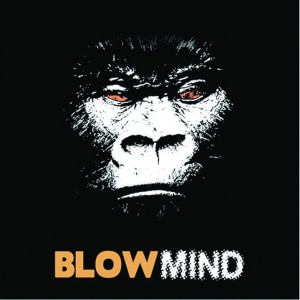 cover: Blowmind