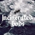 cover: Incinerated Gods