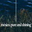 cover: Pure and Shining