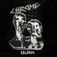 cover: Scaropy