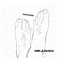 cover: Mir junaka
