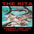 cover: Sharks And The Female Form