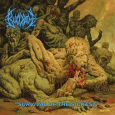 cover: Survival of the Sickest