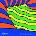 cover: For That Beautiful Feeling