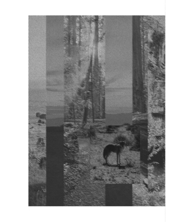 [  ]
