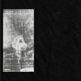 cover: Black Bile