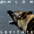 cover: Levitate
