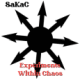 cover: Experiments within Chaos - - - Shamanic Dance