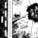 cover: Semipalatinsk