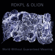cover: World Without Guaranteed Meaning