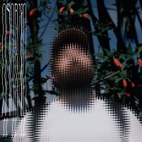 cover: Osorno