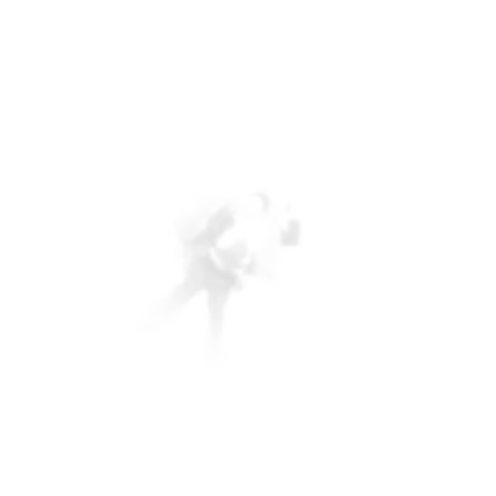 cover: untitled (albini rough mixes)