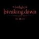 cover: THE TWILIGHT SAGA: BREAKING DAWN - PART 1