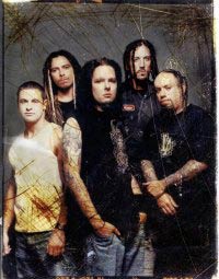 [ Korn ]