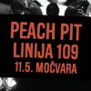 cover: Peach Pit release party 
