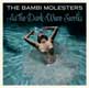cover: Novi koncert THE BAMBI MOLESTERS-a...