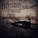 cover: novosadski REFLECTIONS OF INTERNAL RAIN objavili novi singl 