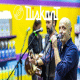 cover: MILE KEKIN u Diskont TV