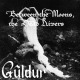 cover: GULDUR 