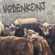 cover: Osijeki VODENKONJ najavljuje debi album 