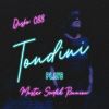 cover: Pripremite se za ples ovog ljeta uz revolucionarni novi album Tondini!