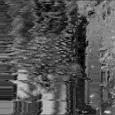 [  ]