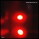 cover: Palazzo's Monstrosity Coil - 