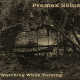 cover: PREMEX SOLUS, novi duet i debi album iz Madarske